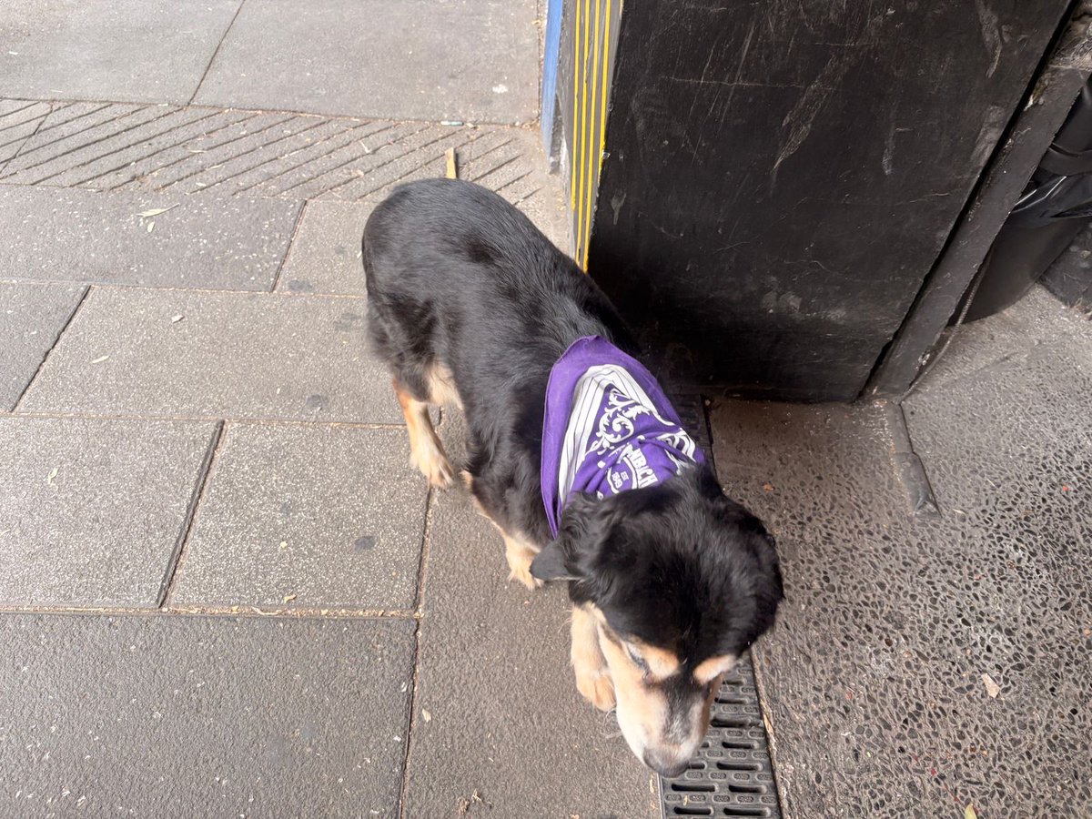 LaRomaMex tweet media