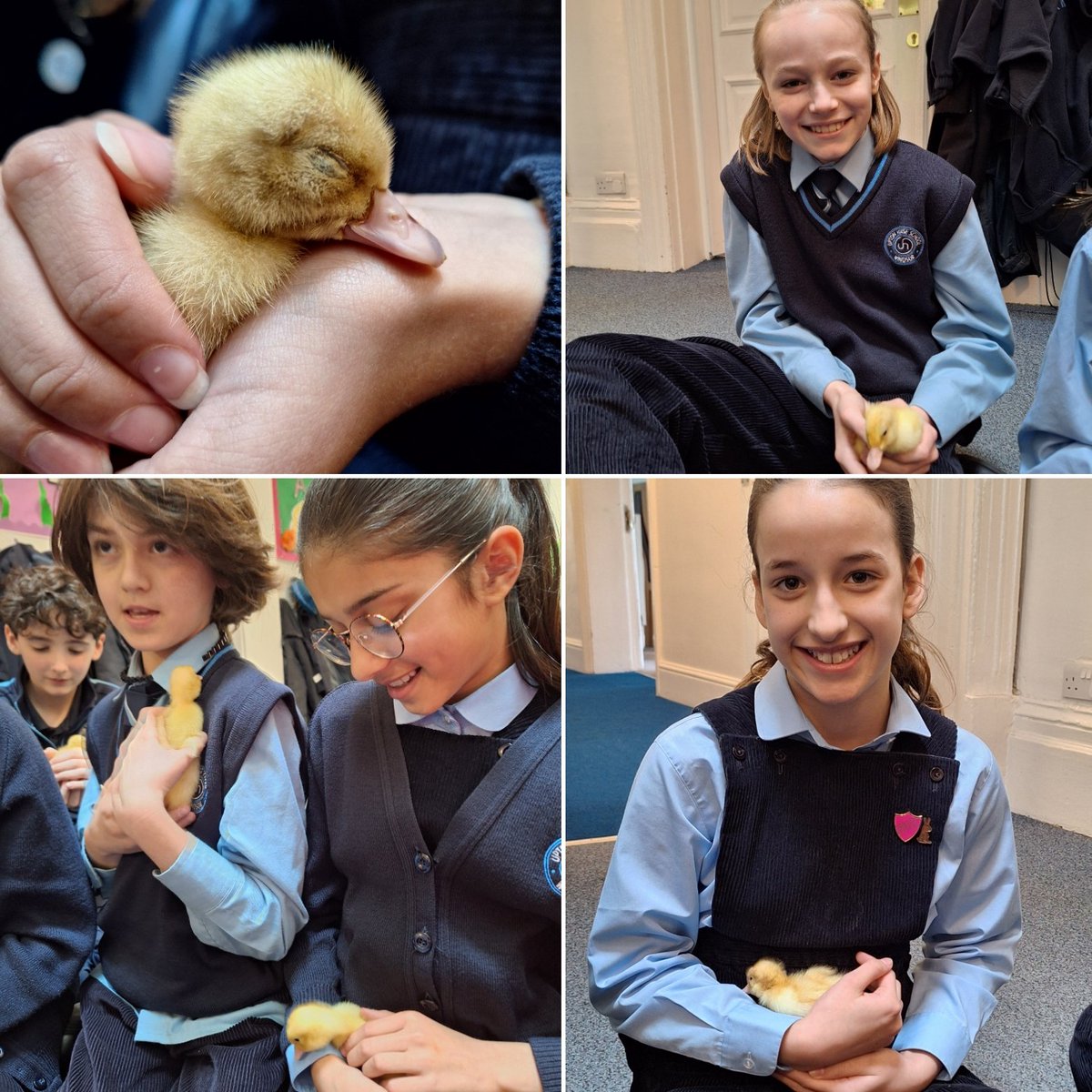 Upton House Form 6 tweet media