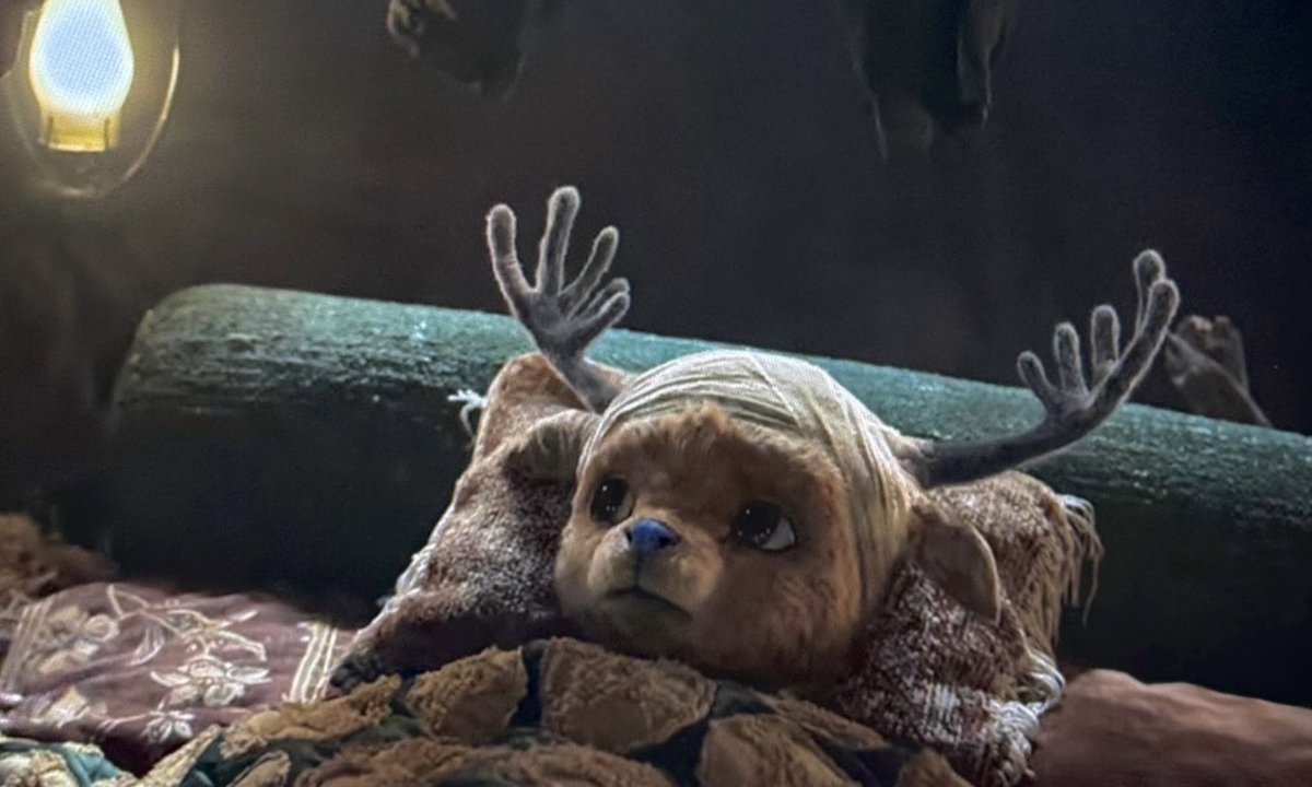 _ayb 🇩🇿 tweet media