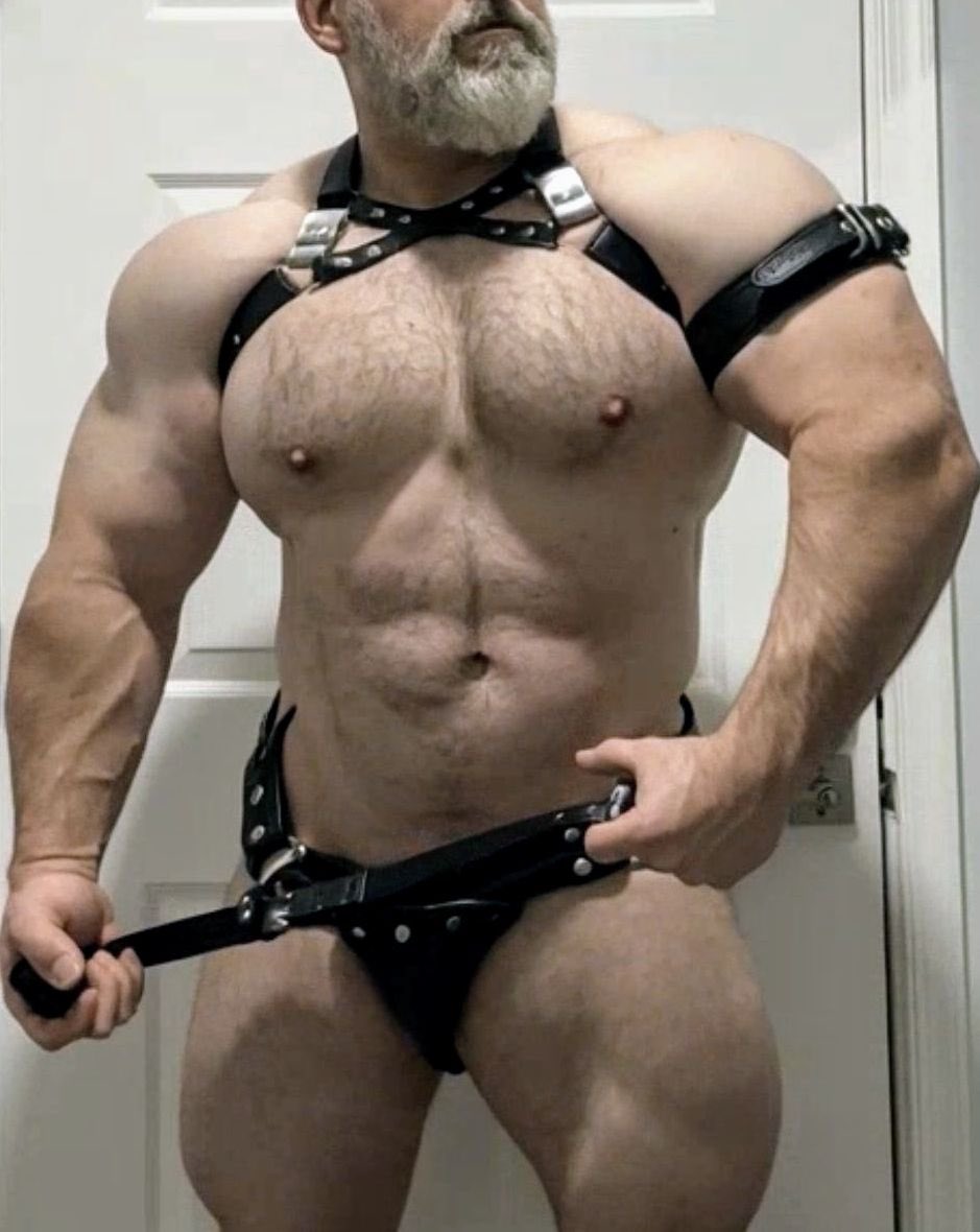 𝐑. 𝐖𝐈𝐋𝐇𝐄𝐋𝐌. tweet media