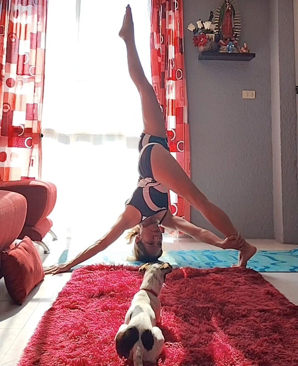 domelyAmaro's tweet image. No es la pose, son las miradas. 🖤🤍 

#Monday 
#YogaPose
#yoga
#YogaGirl