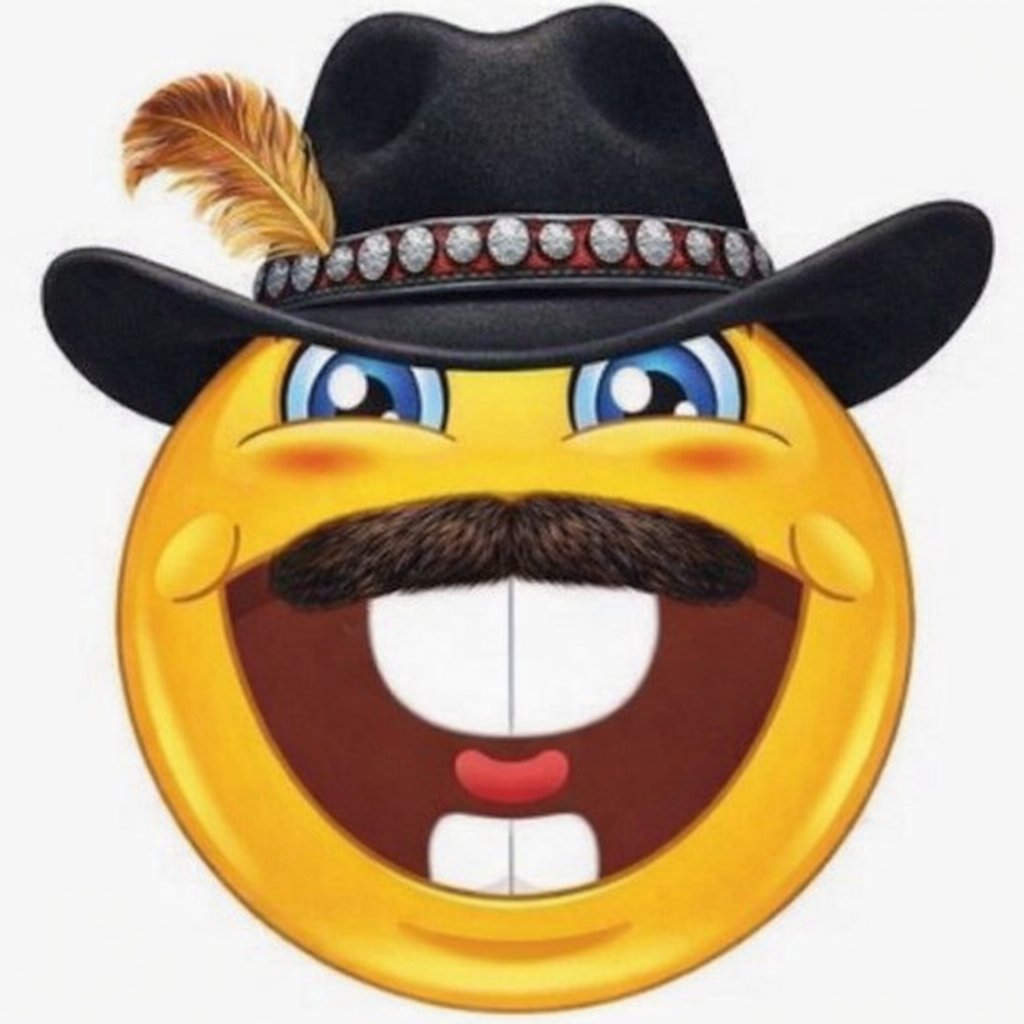 Erik Jones tweet media