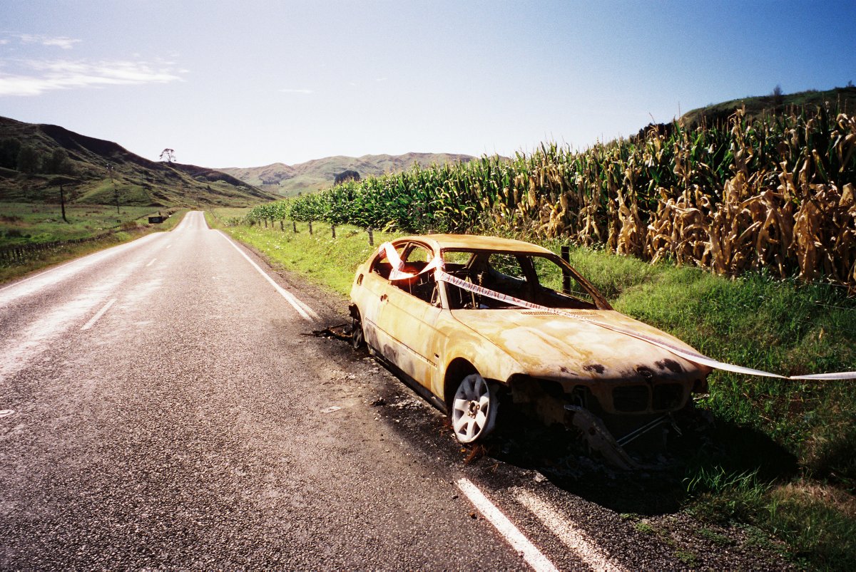 Tim Prebble - HISSandaROAR tweet media