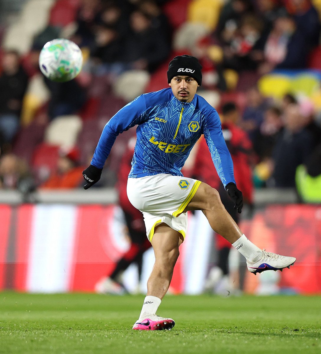 Young Wolves tweet media