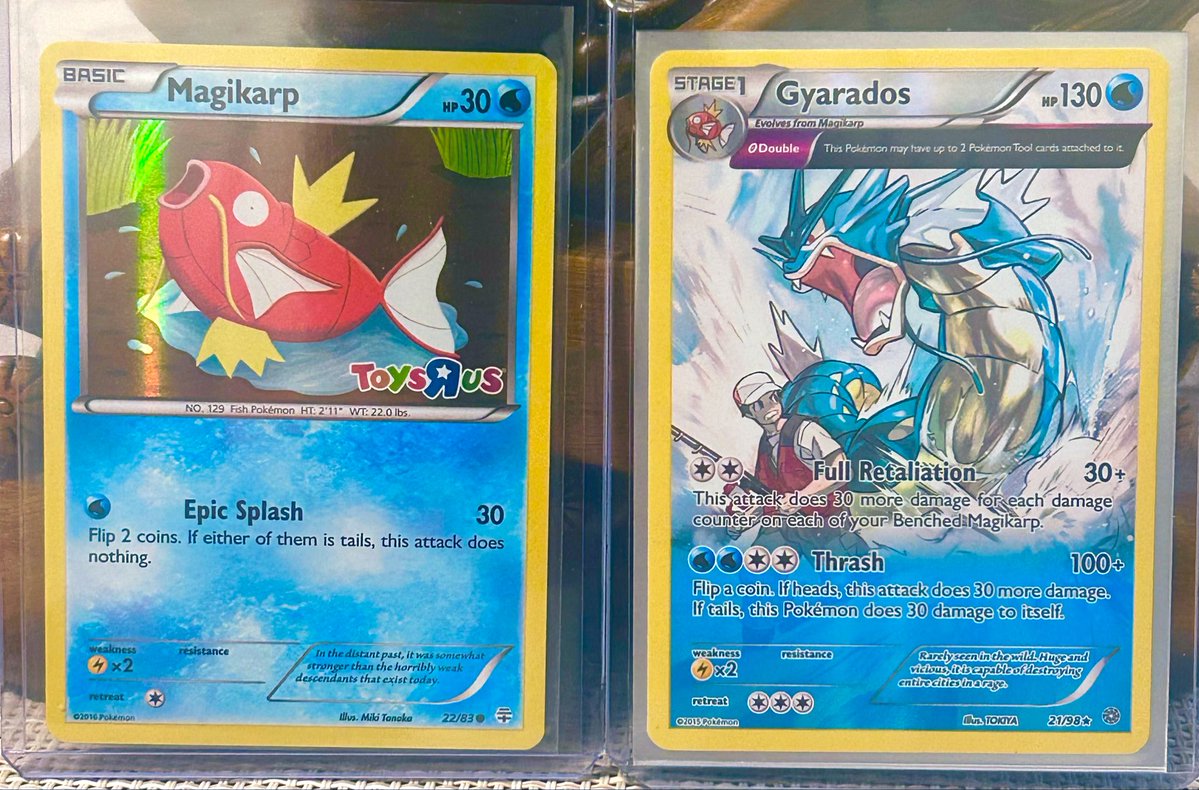 Seems Like A Nice Day To Post A Karp
<a href="/KarpLrd/">KarpLrd 🐟🪖</a> 

Magikarp Toys”R”Us  - XY Promo 

Gyarados  XY Ancient Origins