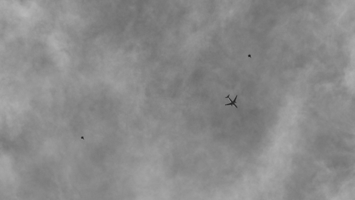 Aeroscout tweet media