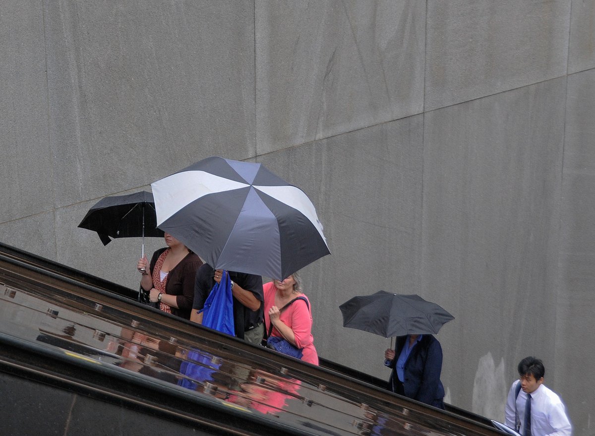 Metro Forward tweet media