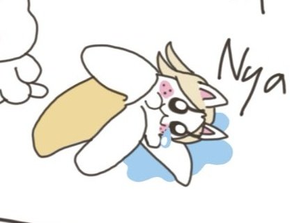 Rose Anaya∞⁸ tweet media