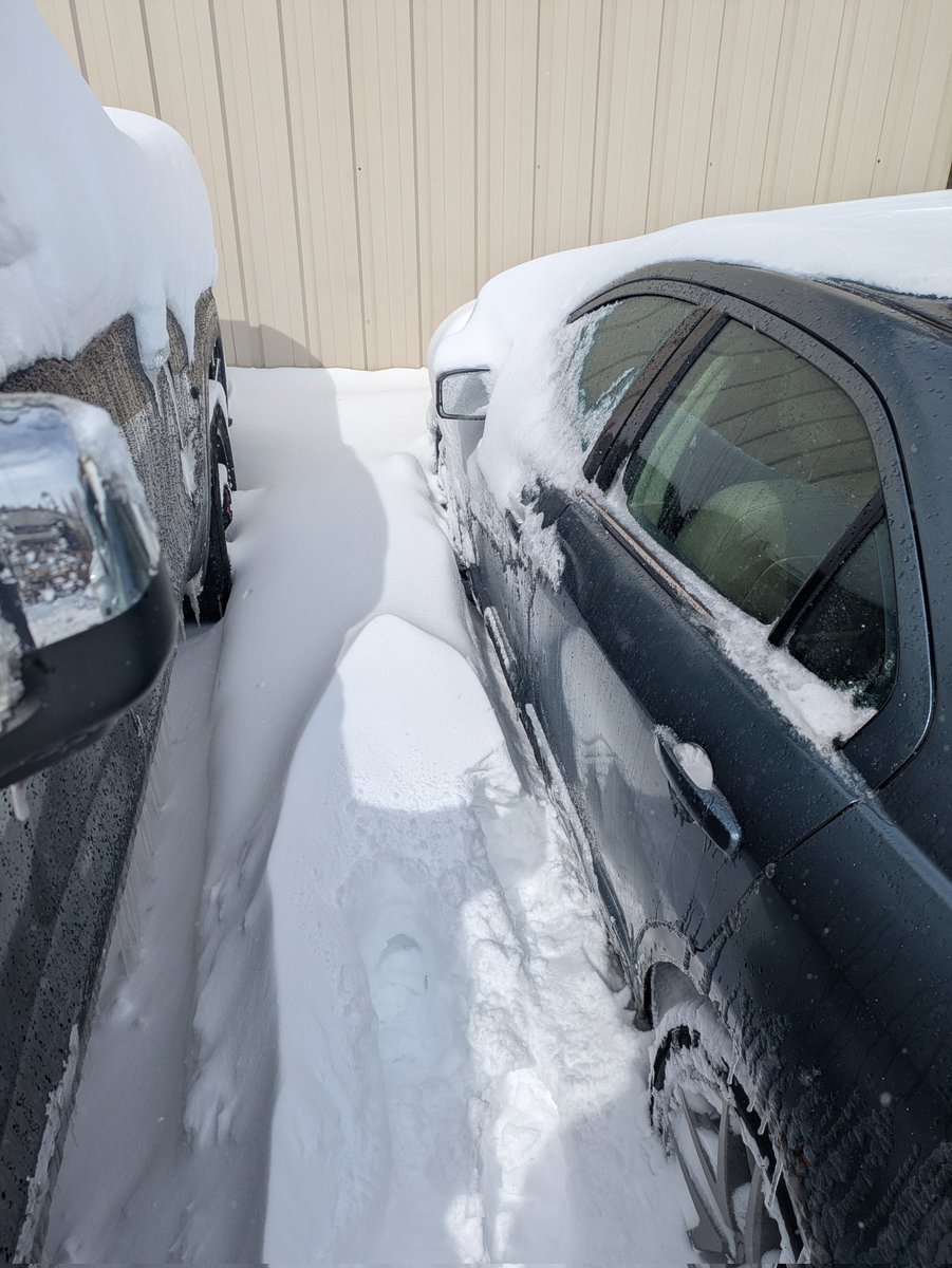 ThatOneNep9994 tweet media