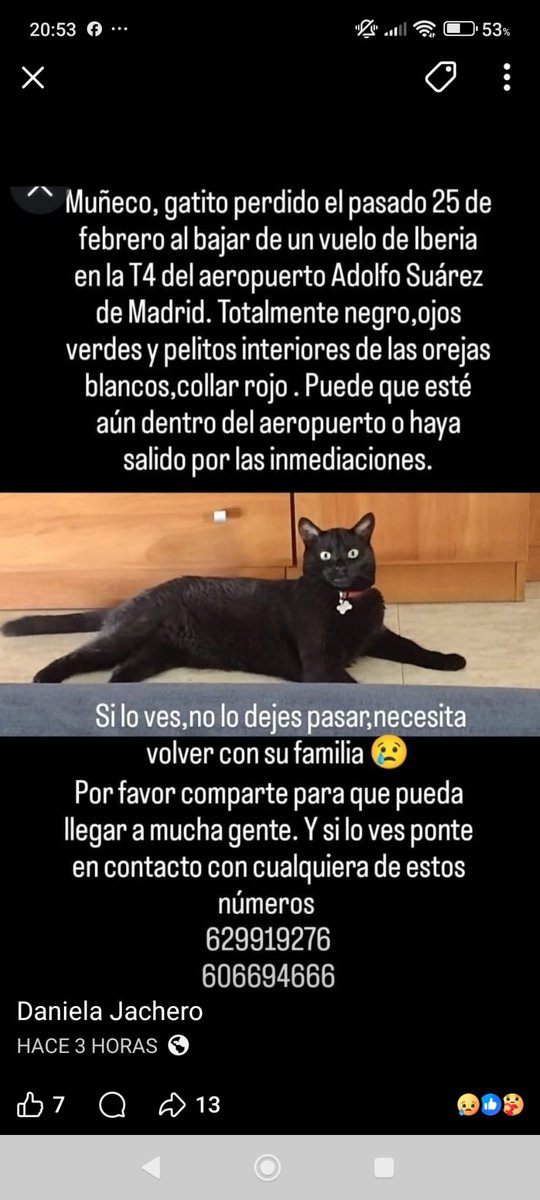 silvia mensegar tweet media