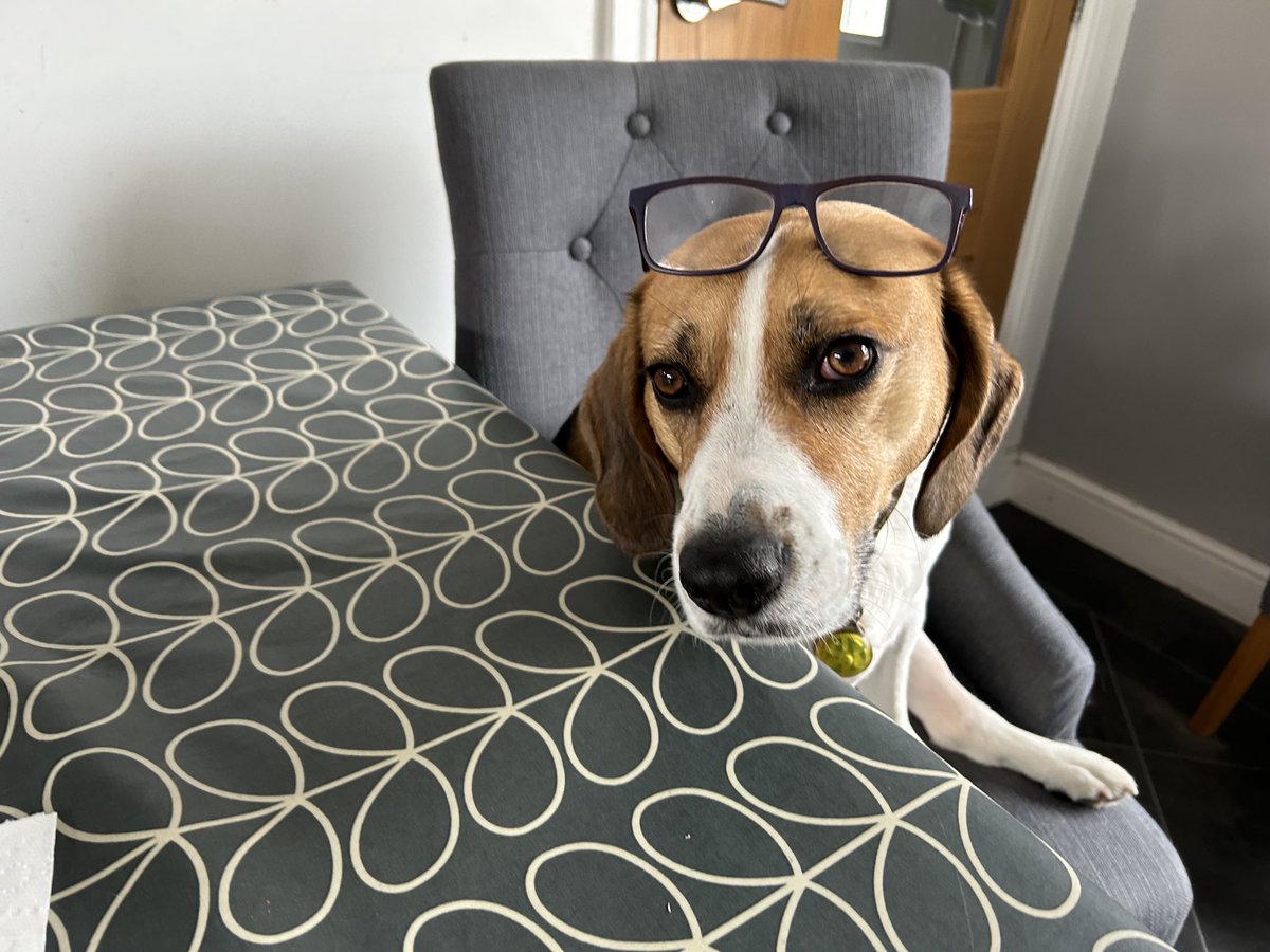 Craig Anglais tweet media