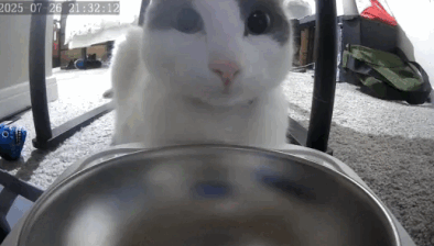 KrazesDev tweet media