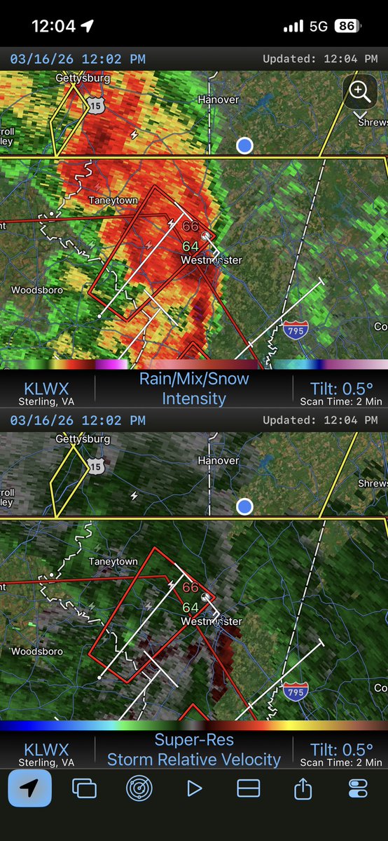 Nico Wells ⛰️ tweet media