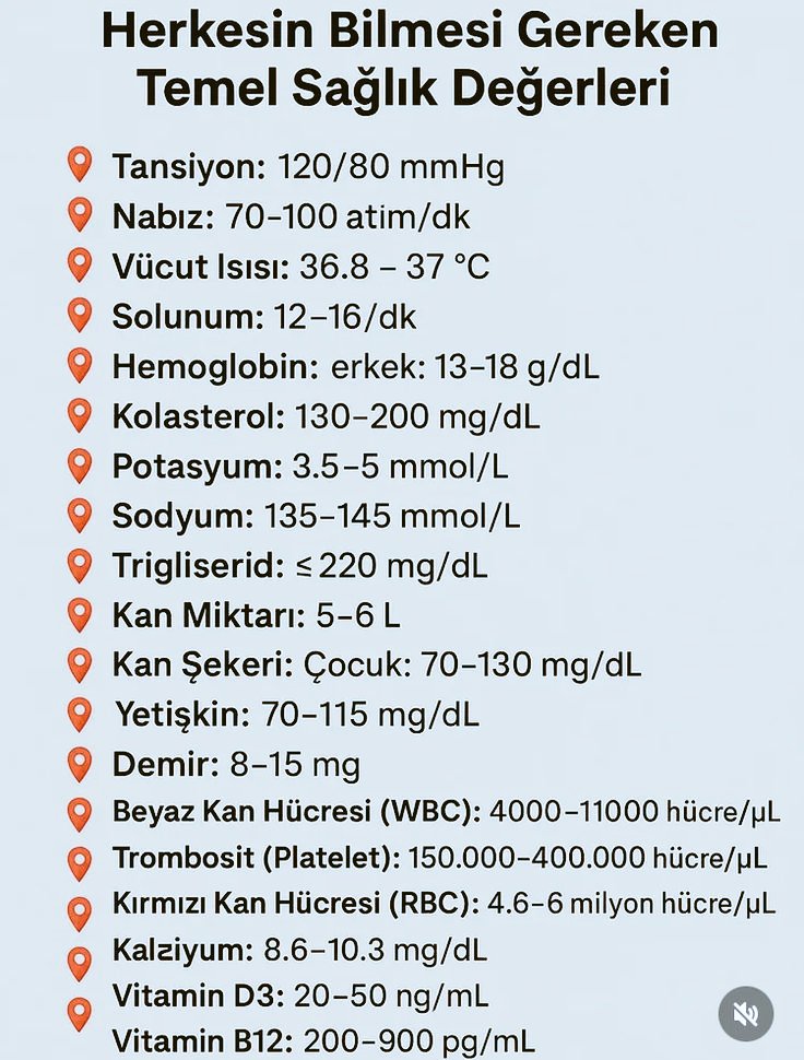 Kaydedin lazım olur ✅