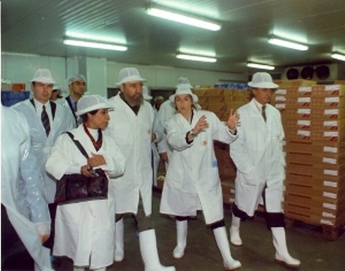 Fidel, Soldado de las Ideas tweet media