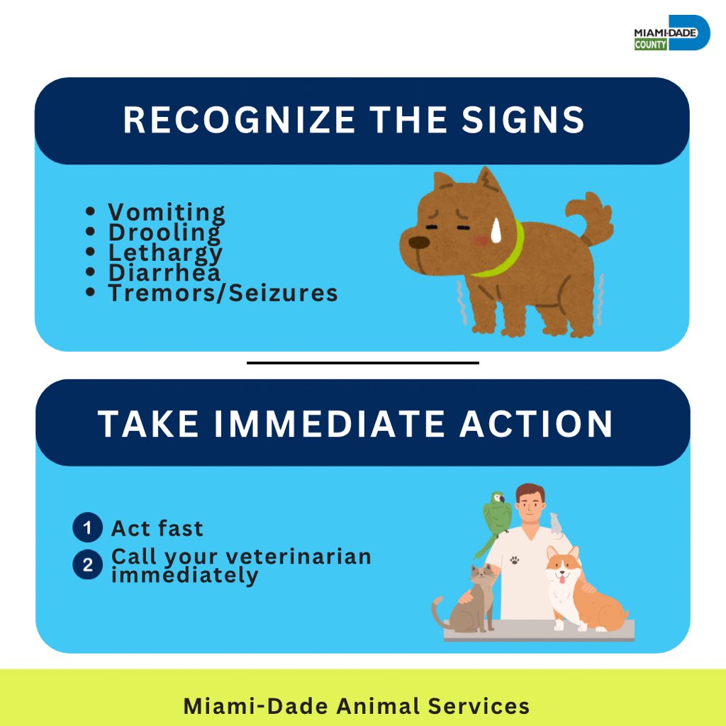 Miami-Dade County Animal Services tweet media