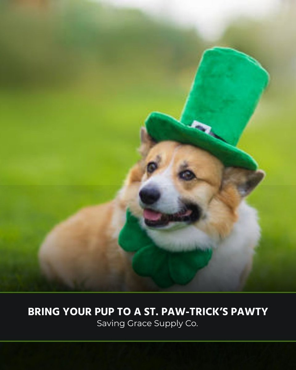 StateViewHotel's tweet photo. ☘️ Last-minute St. Patrick’s Day plans in the Triangle:

🍩 Free green doughnut at Krispy Kreme (wear green)
🏡 Leprechaun houses at Annie Louise Wilkerson Nature Preserve
🎶 Irish music at Hibernian Irish Pub &amp; Restaurant
🐾 St. Paw-trick’s Pawty at Saving Grace Supply Co. https://t.co/imNCbYhZTo