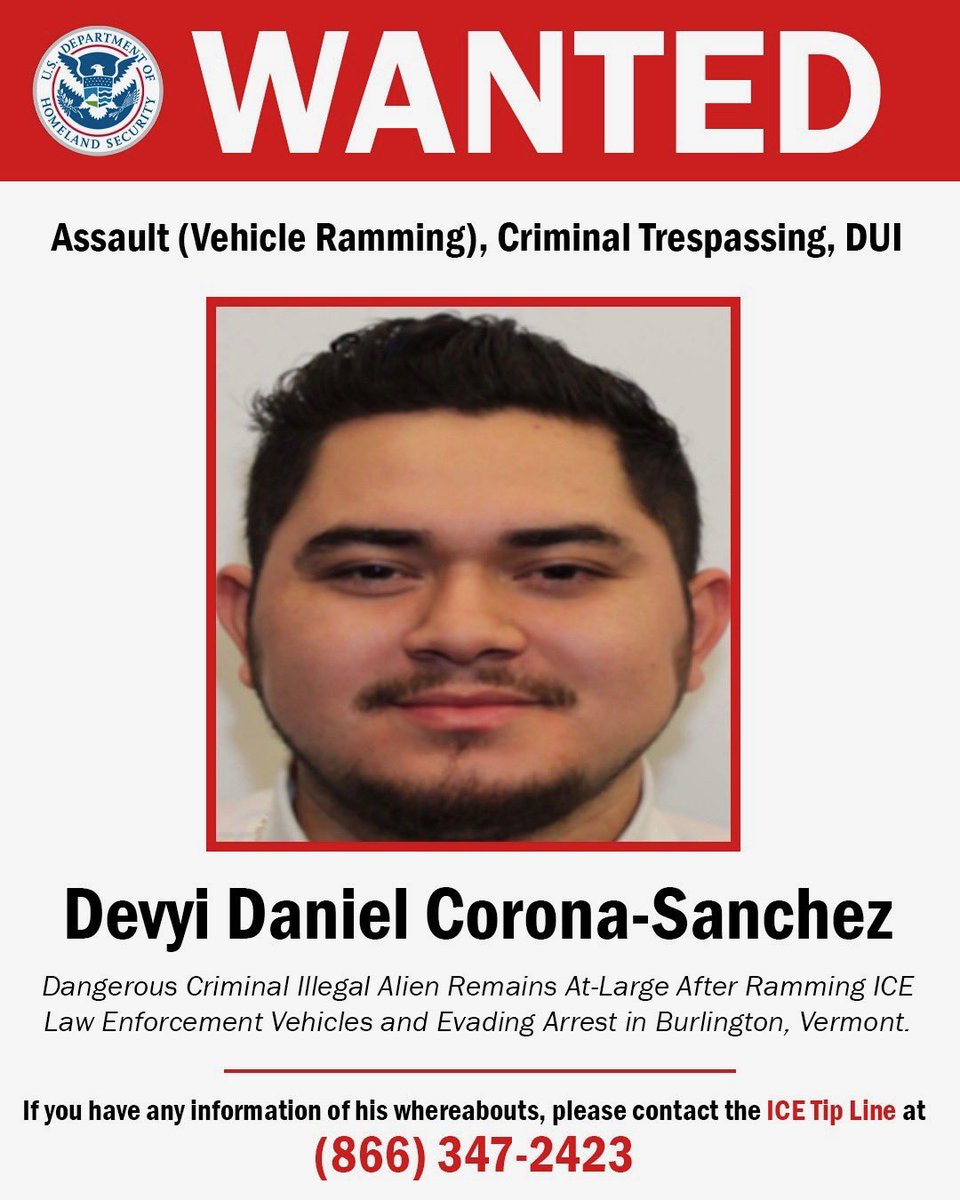 Homeland Security tweet media