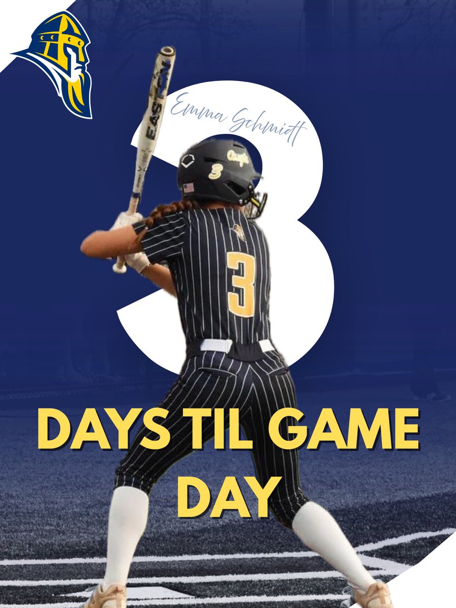 Augustana Softball tweet media