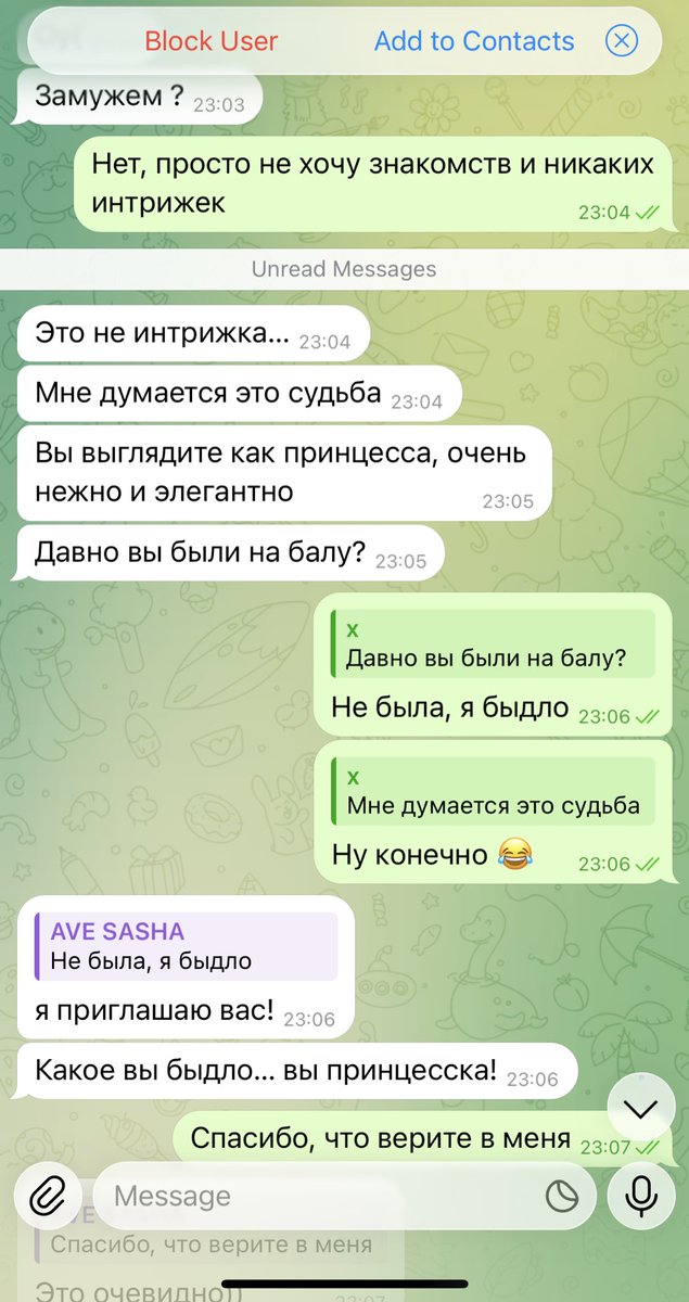 AVE SASHA tweet media