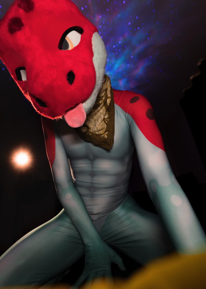 Poisoned Pond Water 🐸 tweet media