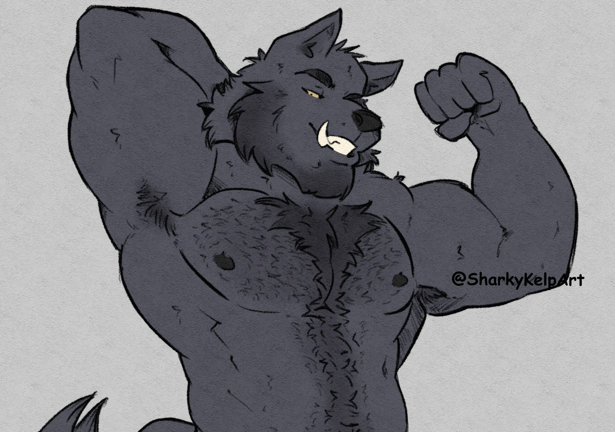 Sharky Kelp tweet media