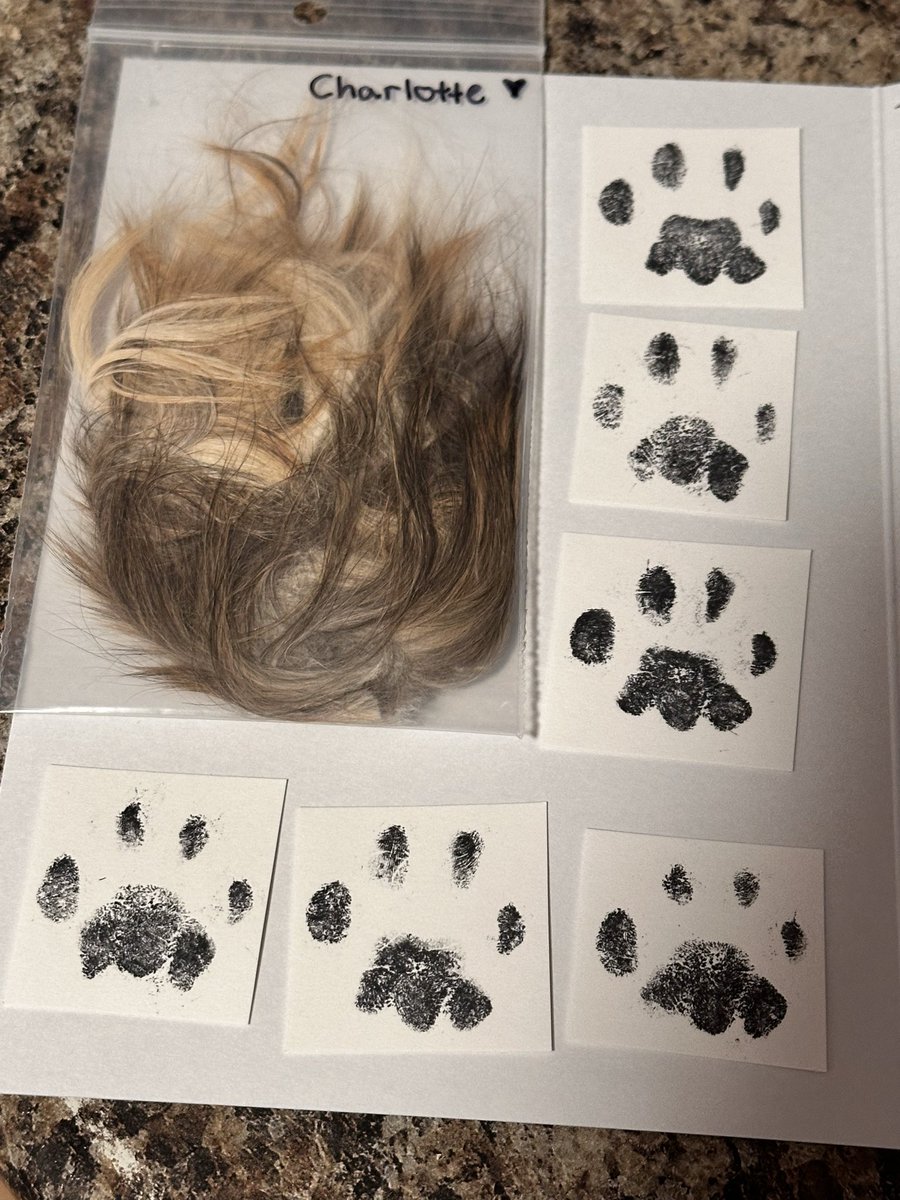 Kay 🤖 tweet media