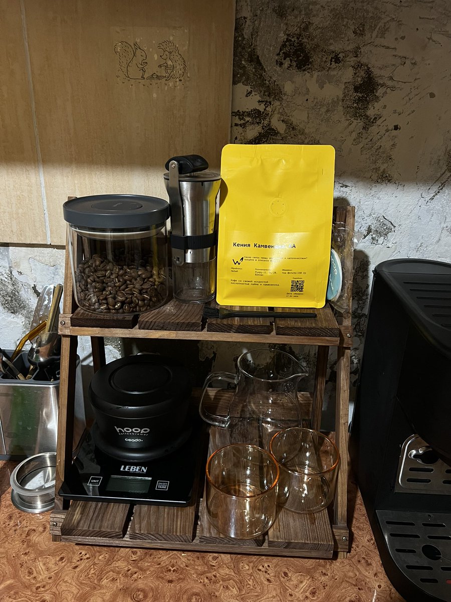 моцарелла обыкновенная tweet media