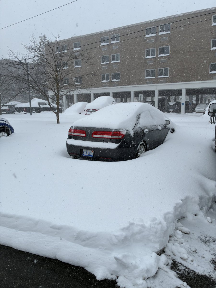 Max Bryan tweet media