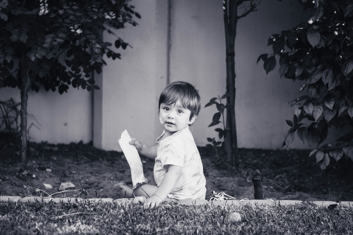 Monday Blogs tweet media