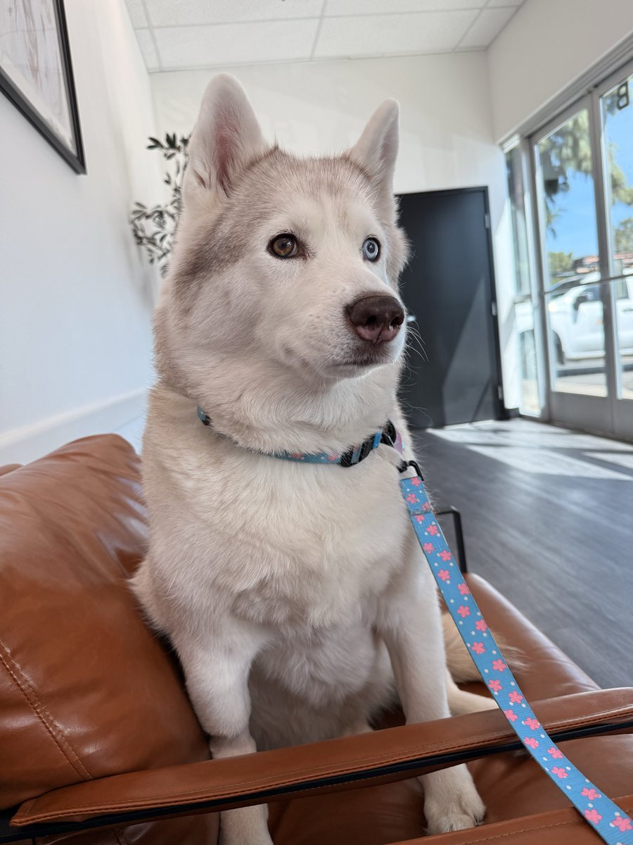 🔞BlueBerryBassVR tweet media