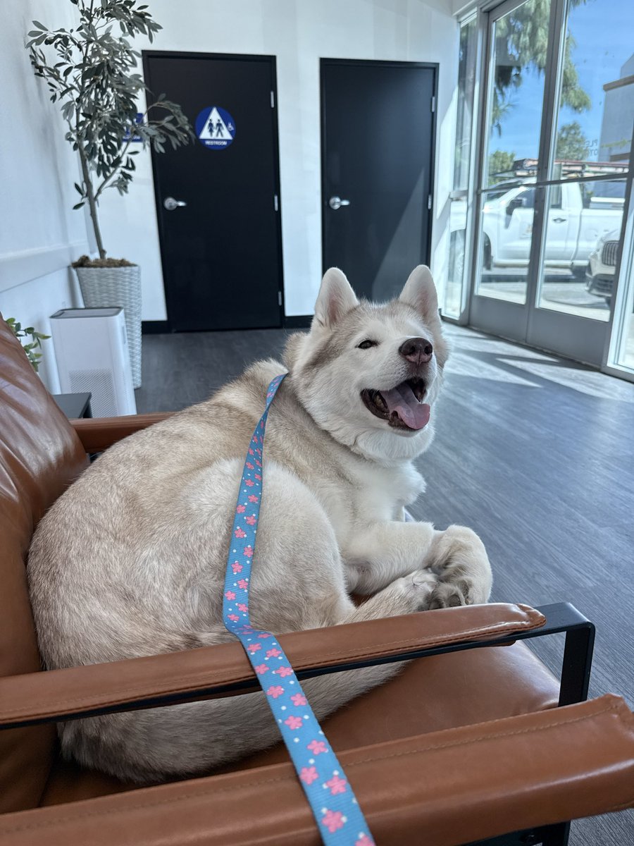 🔞BlueBerryBassVR tweet media