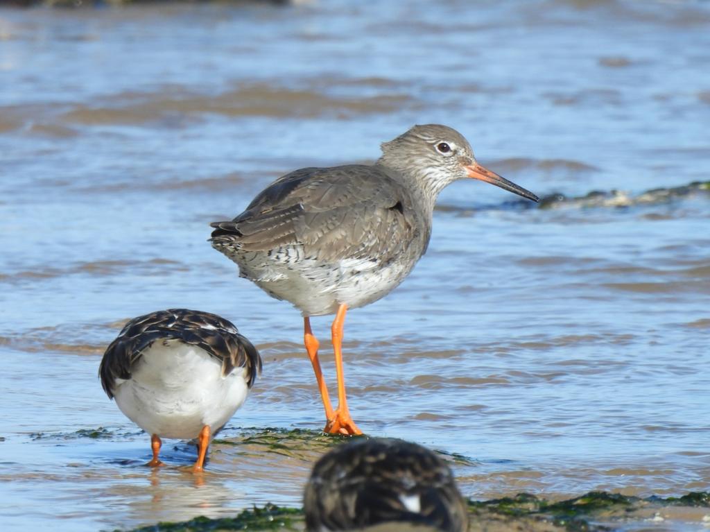 Mark Clements tweet media