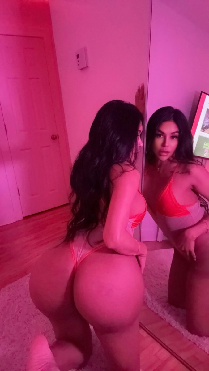 Foxy 🏳️‍⚧️ tweet media