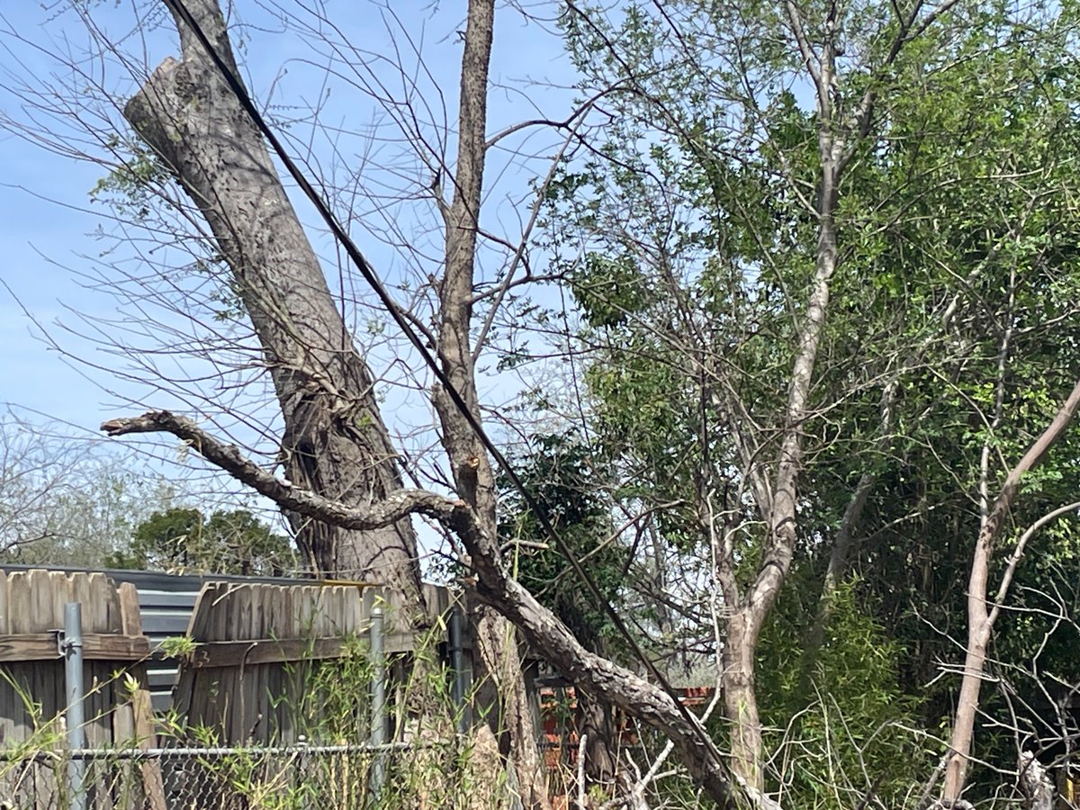 CPS Energy tweet media