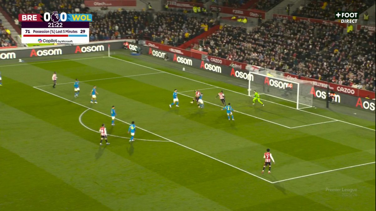 Wolves Actu France 🐺🇫🇷 tweet media