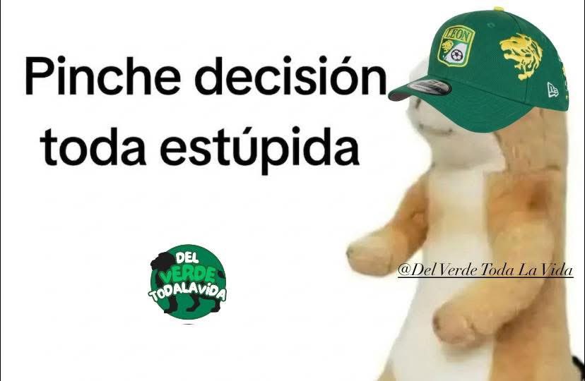 🦁 Nico 💚 🇲🇽 tweet media