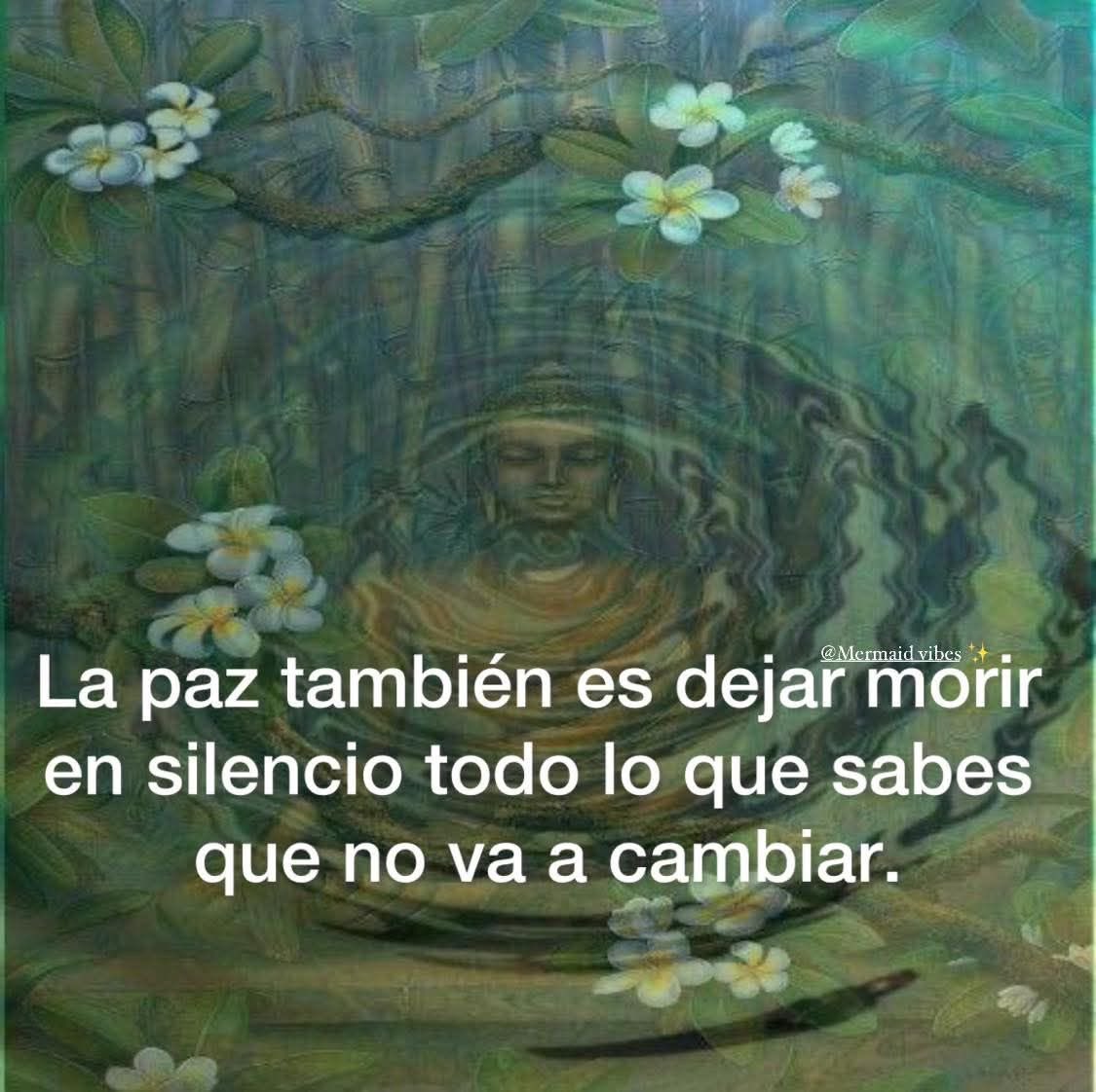 ⭑ encantadora y cazadora tweet media