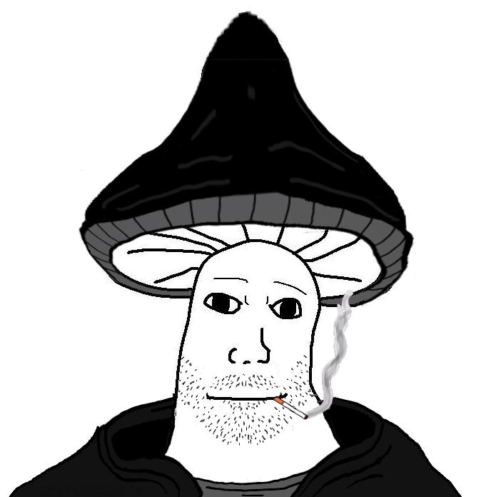 Templarpilled tweet media