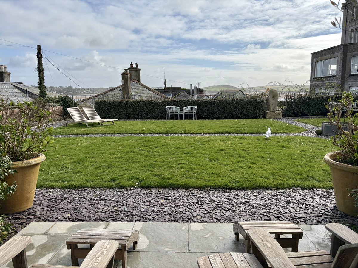 Amy Savage tweet media