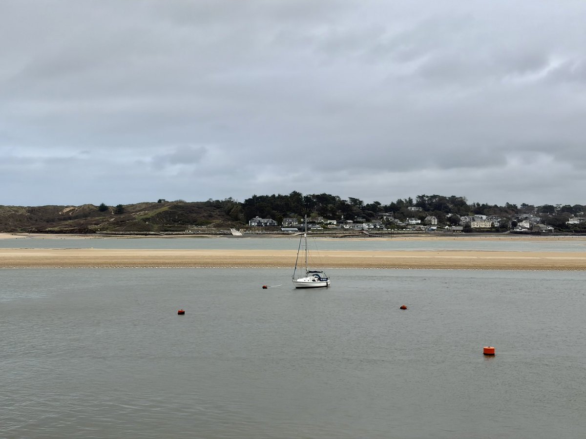 Amy Savage tweet media