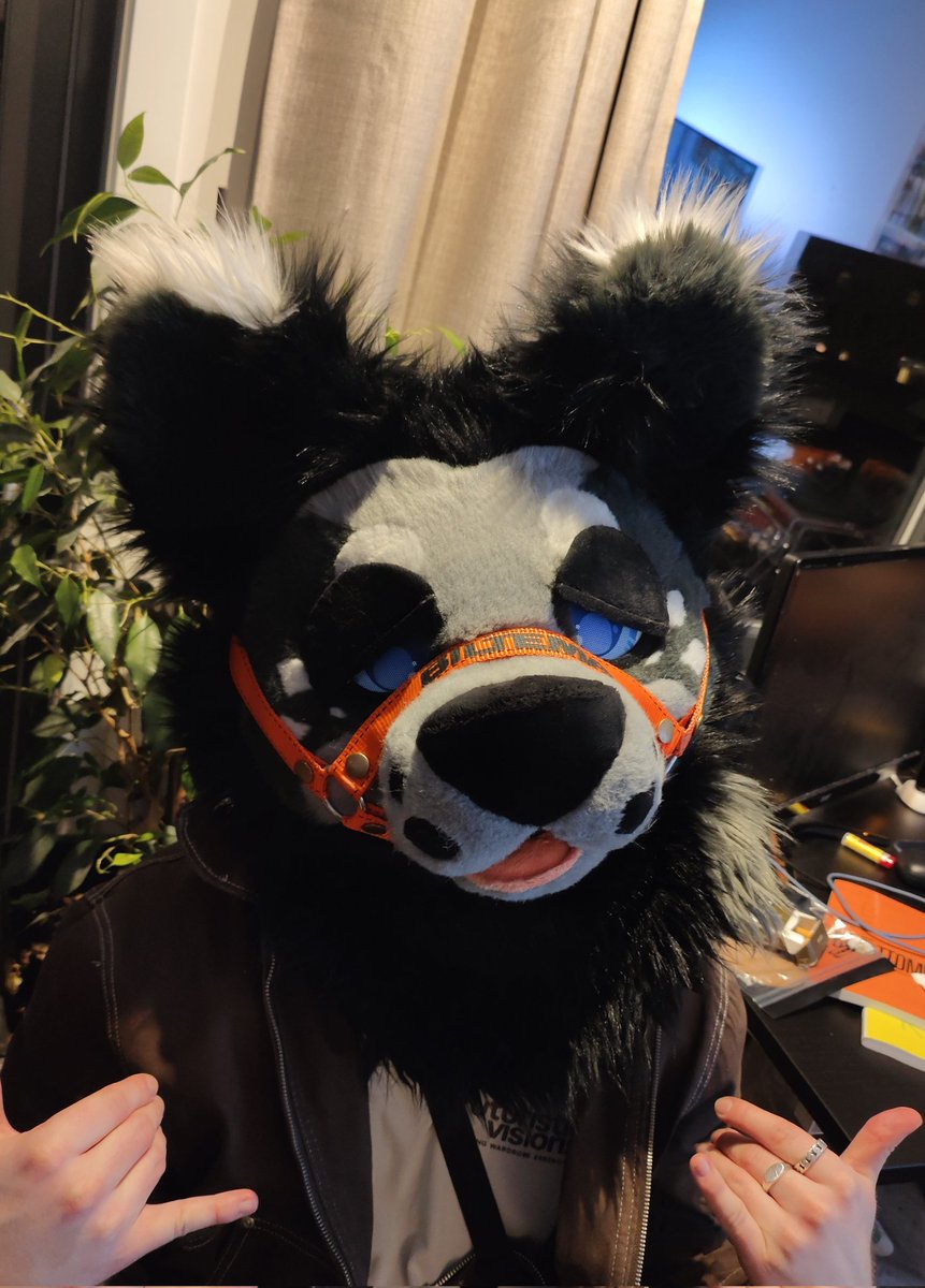 Dumb Dog ⚡Static⚡ tweet media