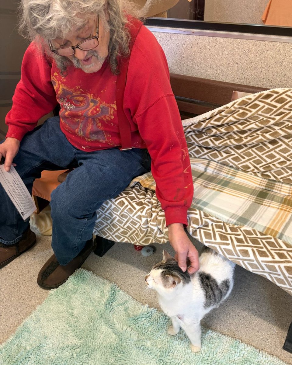 Greenhill Humane tweet media