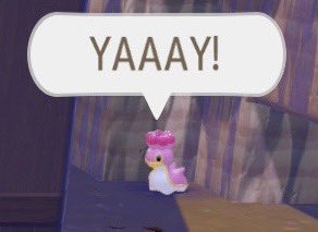 Dong 💕 tweet media