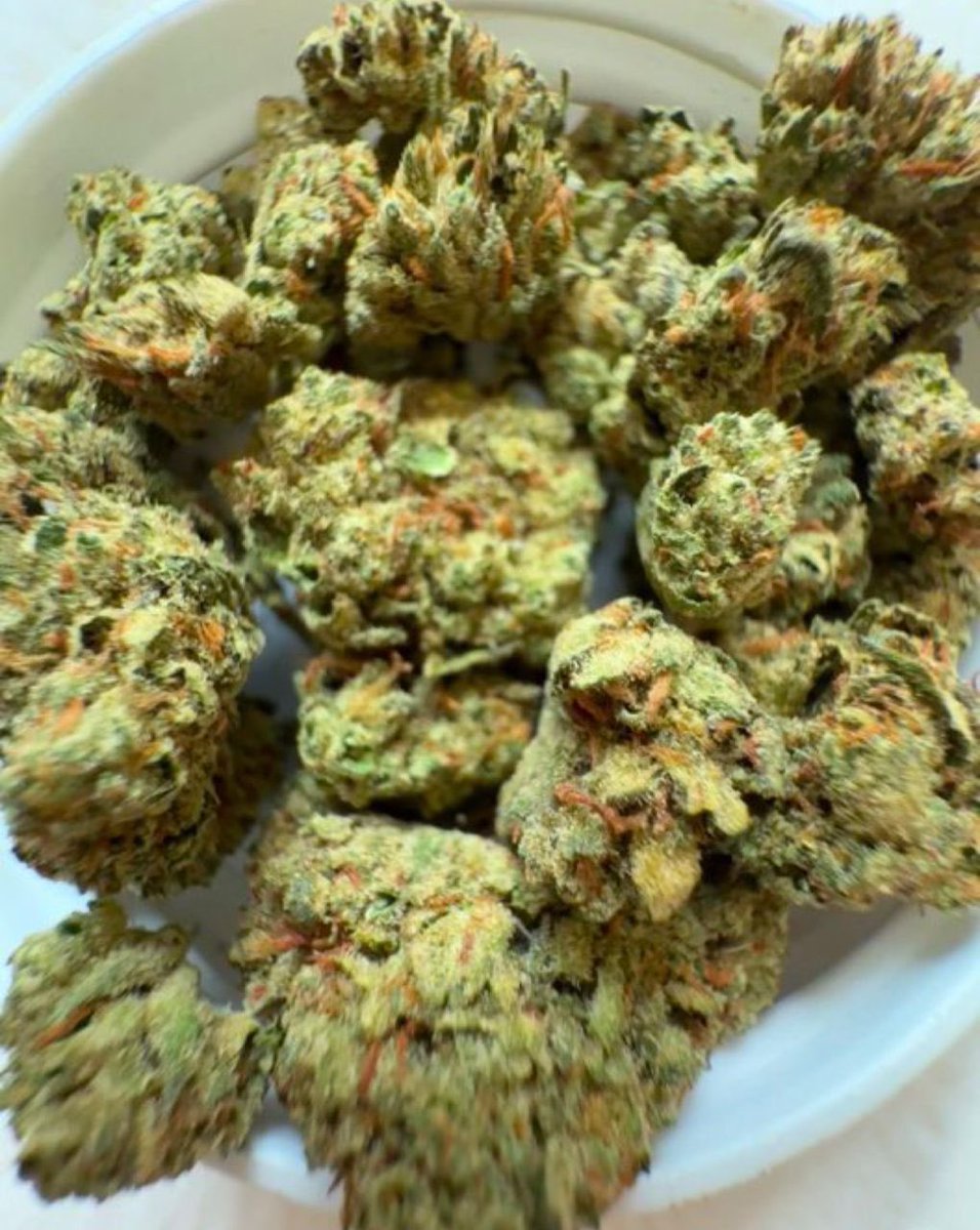 Mikky 💨💨 tweet media