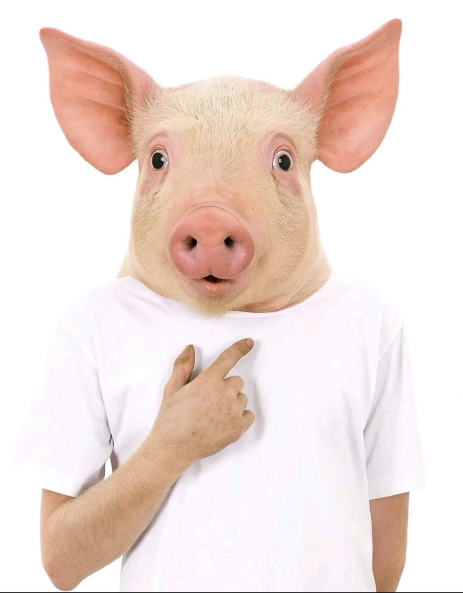 violeta ୨୧ tweet media