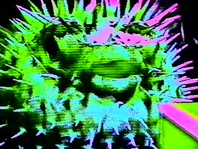 MAX CAPACITY tweet media