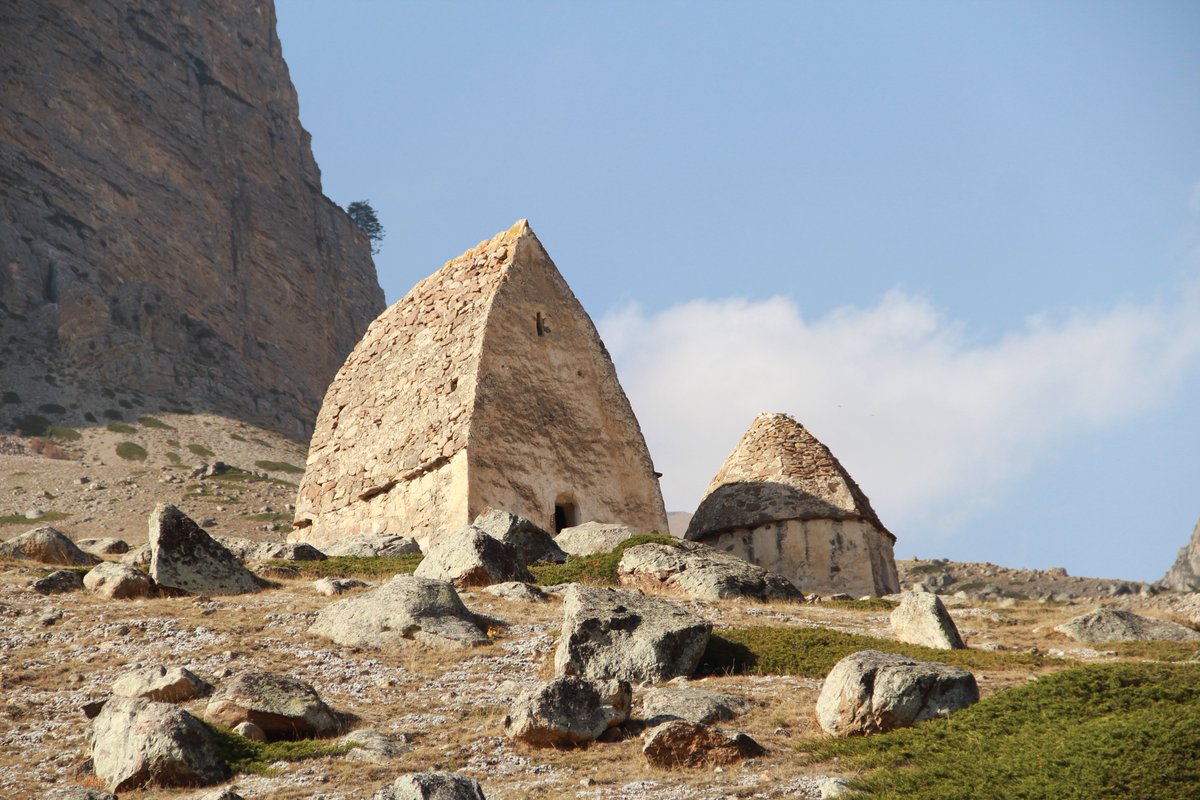 Это же Сашхен! 🌙 tweet media