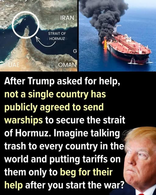 Albee Fine tweet media