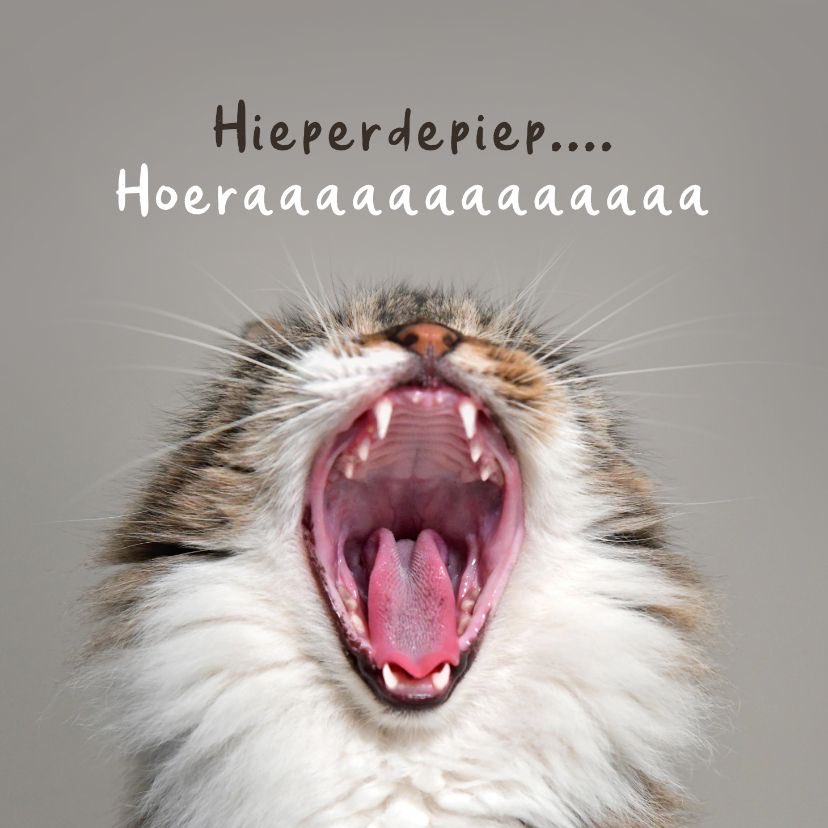RileyBrit1's tweet photo. @OKatert Gefelicistaart met vrouwmens Okkie! 🎉🎉 https://t.co/rrjgw8bige